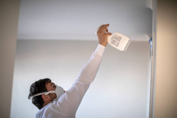 Best HVAC Mold Remediation in Wapello, IA